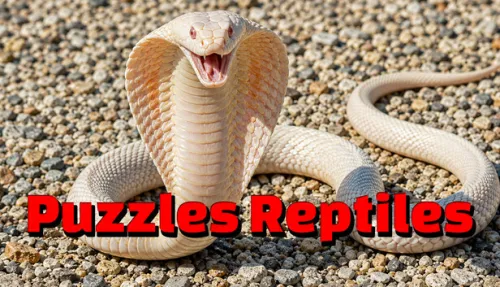 Puzzles Reptiles