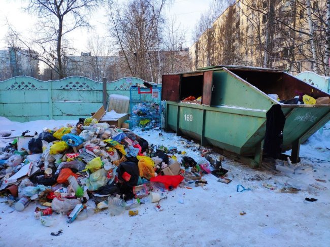 Беглов оказался королём крыс, тараканов и прочих паразитов помойка, мусорная реформа, беглов, смольный