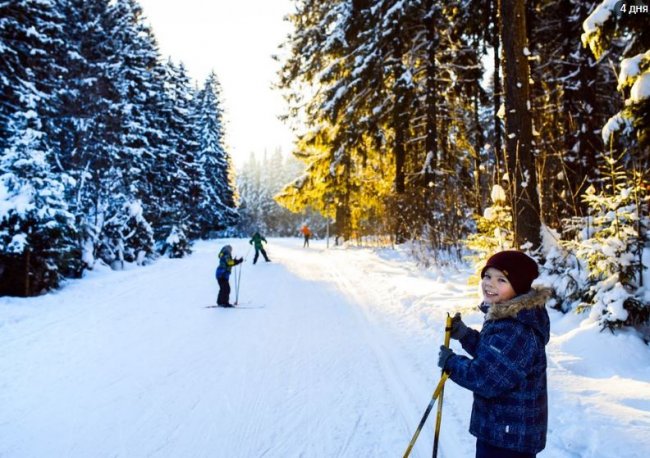 В Ленобласти назвали самые популярные лыжные маршруты по экотропам спорт, экотропа, лыжная тропа, ленобласть