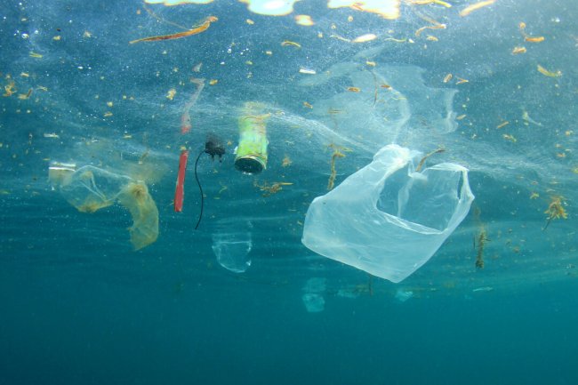 Около 75% людей на планете выступают за полный запрет одноразового пластика экология