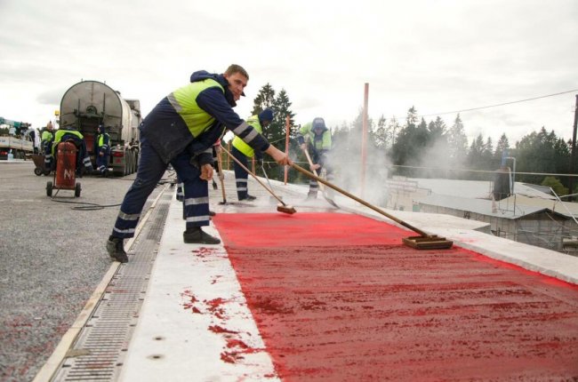 В Ленинградской области появится дорога с ароматом ягод дороги