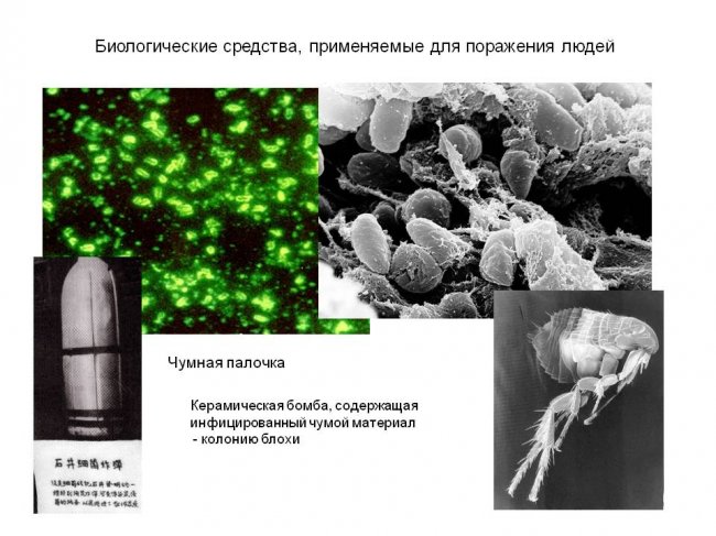 Отчего в России было столько вспышек различных заболеваний украина, биологическое оружие, нато