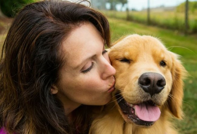 Ученые предупредили о смертельной опасности «поцелуя» домашней собаки заболевания, домашние питомцы, микробы, исследования
