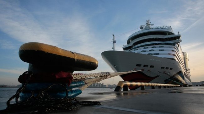 Круизные лайнеры между Петербургом и Калининградом могут запустить в 2022 году калининград, петербург, круиз