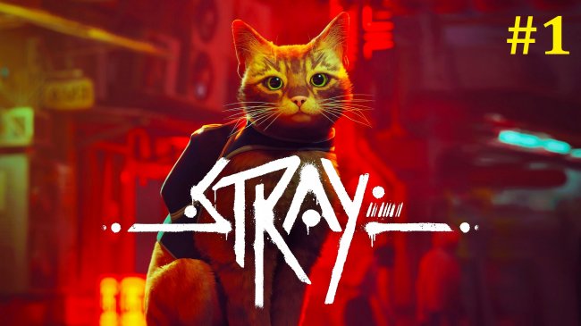 Stray Прохождение - Стрим #1 stray, стрей, стрей прохождение, stray прохождение на русском, стрей прохождение на русском, stray прохождение, стрим stray, прохождение игры stray