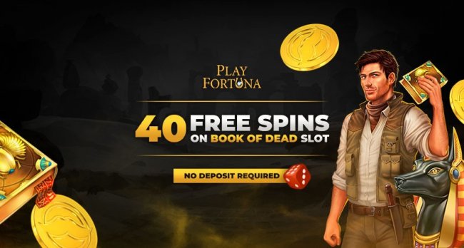 Play Fortuna – казино для классного отдыха на каждый день!