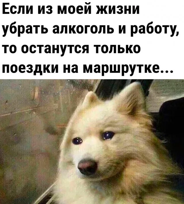 Мемы и новые смешные картинки юмор