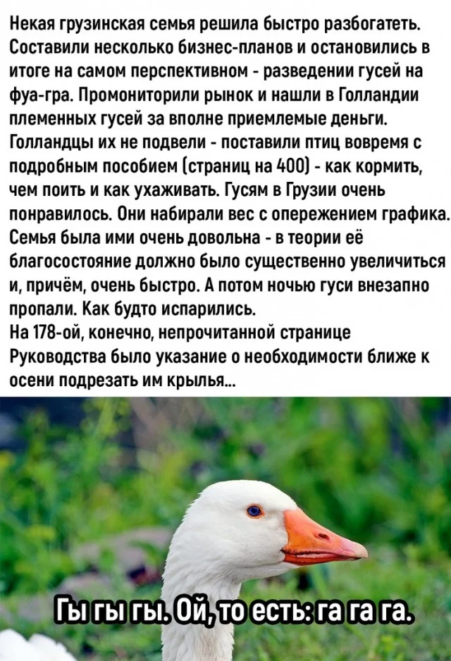 Мемы и новые смешные картинки юмор