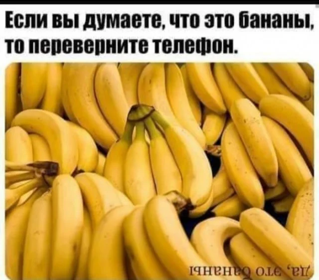 Мемы и новые смешные картинки юмор