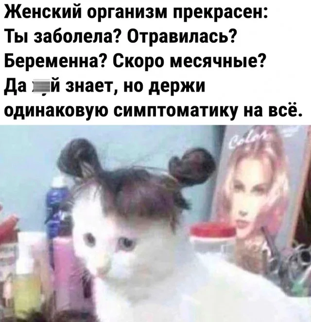 Мемы и новые смешные картинки юмор