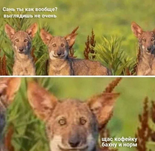 Уникальное предложение: роскошный дом в Подмосковье за 600 миллионов рублей