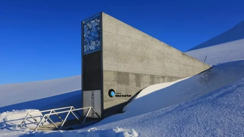 «Ноев ковчег» для растений: как устроено Хранилище Судного дня на Шпицбергене