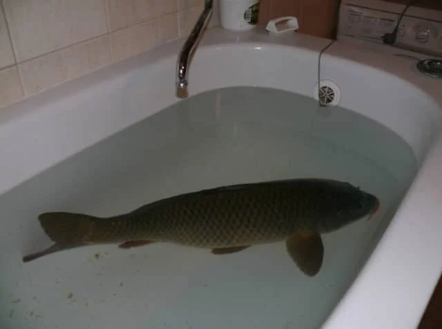 30 культурных особенностей разных стран, от которых глаза на лоб лезут