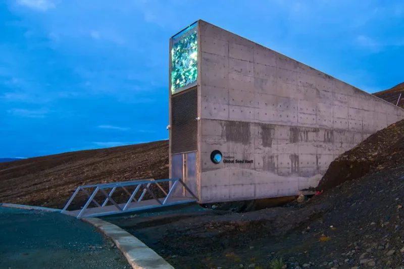 «Ноев ковчег» для растений: как устроено Хранилище Судного дня на Шпицбергене