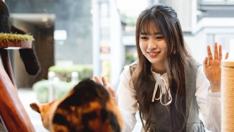 Cat Spa & Cat Ryokan: где японские традиции встречаются с кошачьим раем