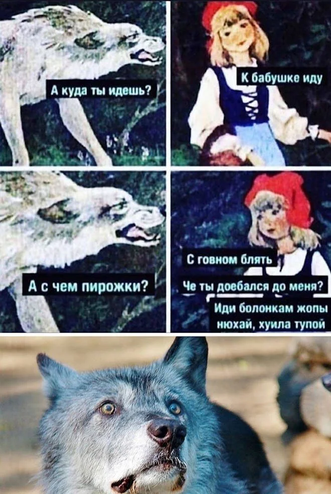 Забавные картинки для отличного настроения