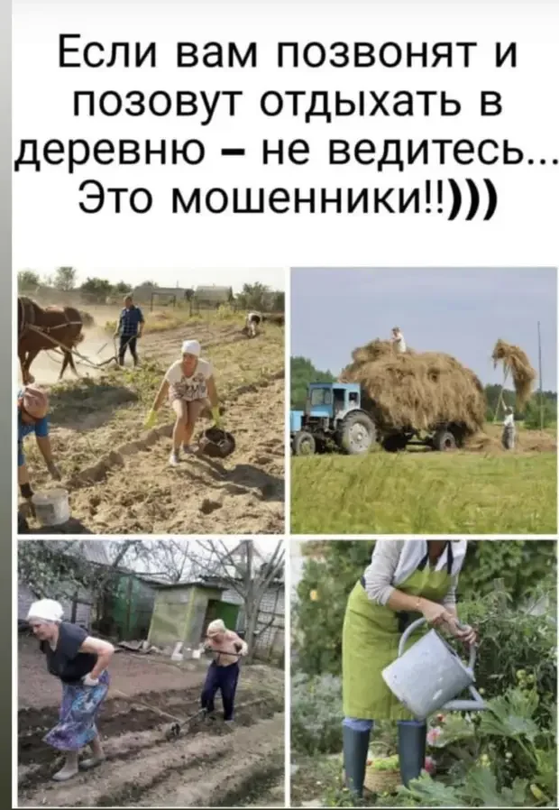 Смешные истории и анекдоты для хорошего настроения