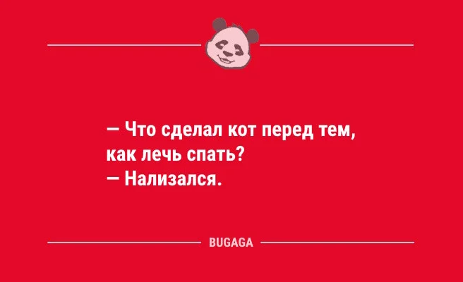 Смешные анекдоты и статусы на пятницу: подборка юмора для поднятия настроения Пятничная подборка юмора: анекдоты и статусы для отличного настроения