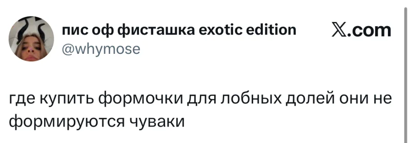 Лучшие шутки дня из X (Twitter)