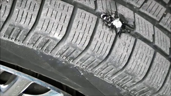 Как быстро заделать прокол в бескамерной шине, не снимая колесо