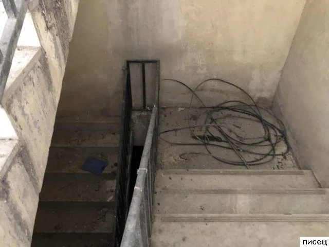 Когда работа пошла не по плану: результаты, от которых хочется плакать и смеяться одновременно