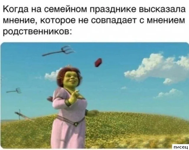 Когда жизнь подкидывает сюрпризы: свежая подборка приколов от Писца