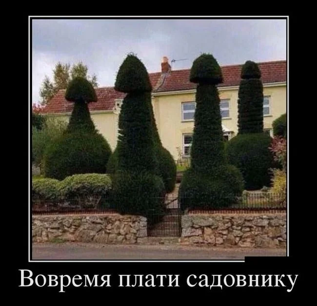 Зарядка позитивом: убойная подборка демотиваторов