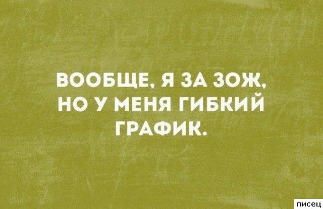 Цитаты, которые попали прямо в точку