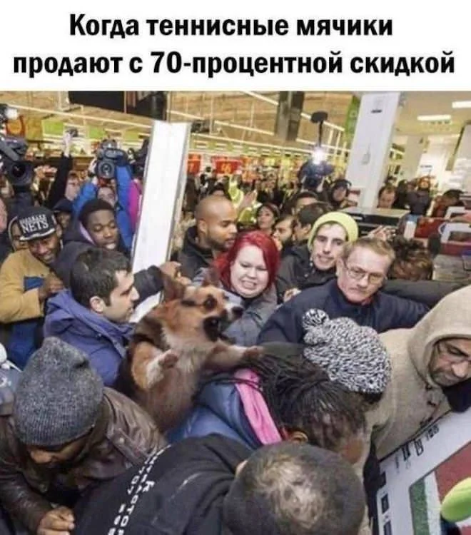 Забавные картинки для отличного настроения