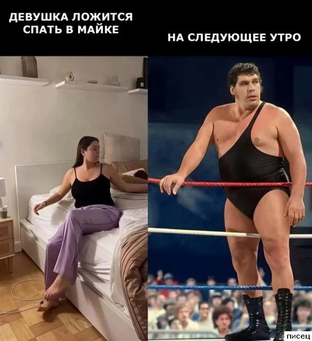 Женский юмор: непредсказуемая реальность в смешных картинках