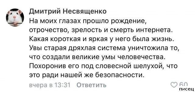 Галерея смеха: Самые нелепые и гениальные комментарии из соцсетей