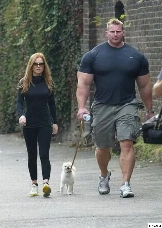 Неудобства великана: смешные промахи в жизни высоких людей