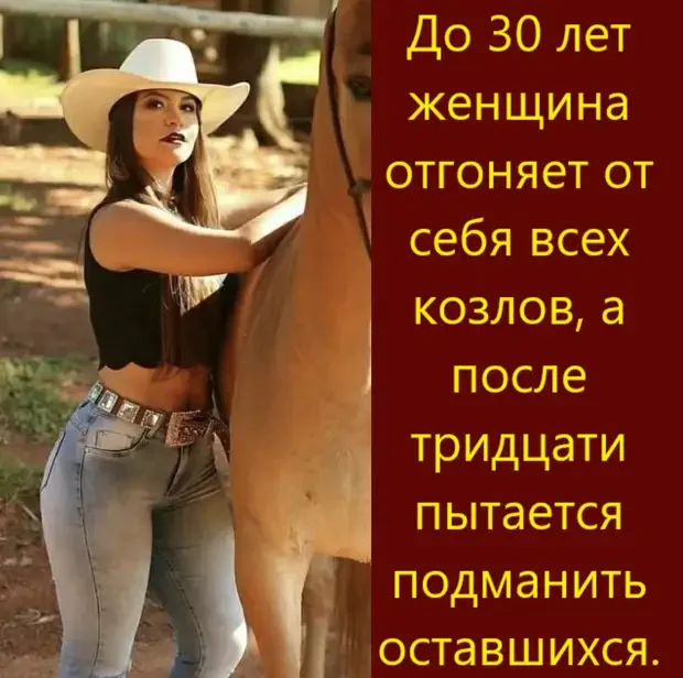 Забавные истории и остроумные ответы на каждый день