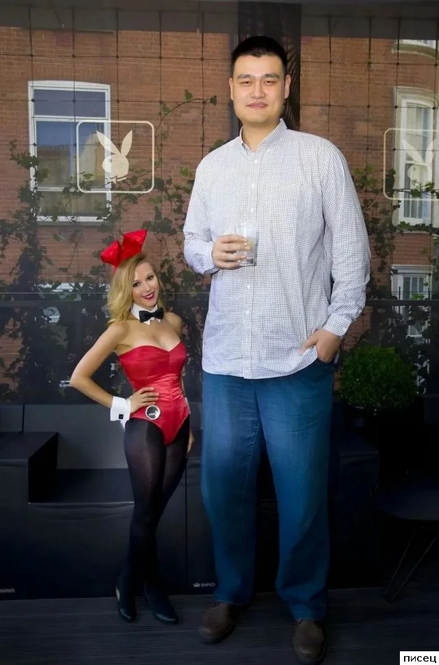 Неудобства великана: смешные промахи в жизни высоких людей