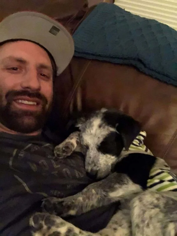 Преображение: как бездомные животные меняются после встречи с любящими хозяевами