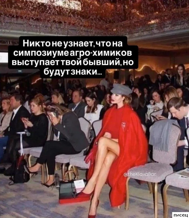 Женский юмор: непредсказуемая реальность в смешных картинках