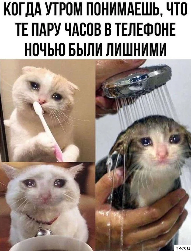 Когда жизнь подкидывает сюрпризы: свежая подборка приколов от Писца