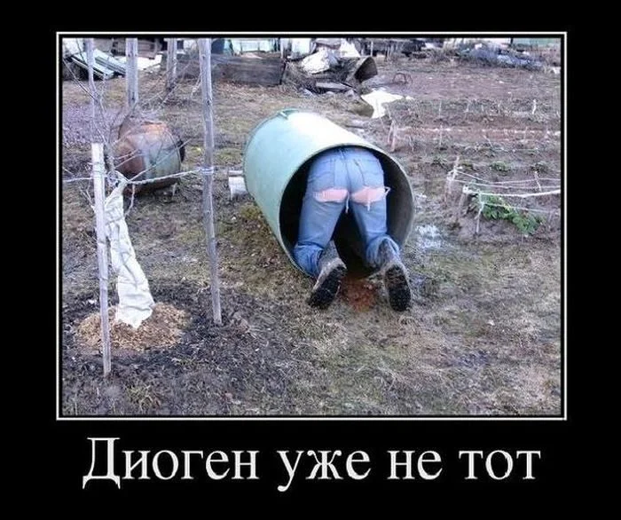 Зарядка позитивом: убойная подборка демотиваторов