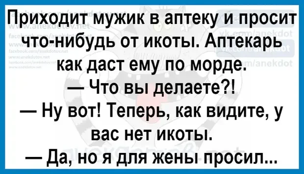 Забавные истории и остроумные ответы на каждый день
