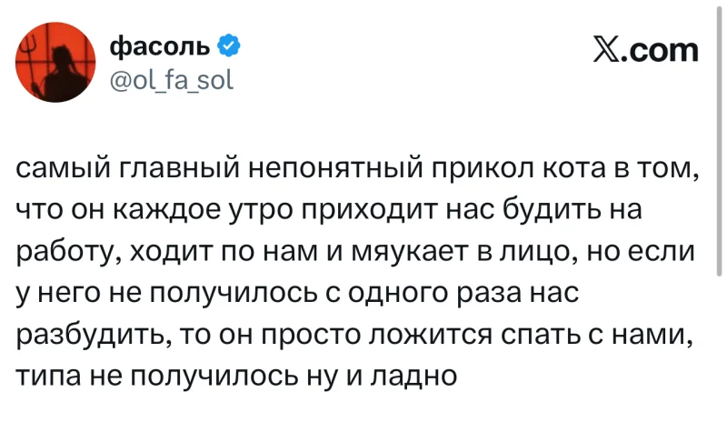 Лучшие шутки дня из X (Twitter)