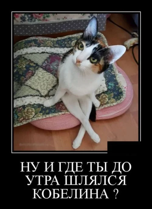 Зарядка позитивом: убойная подборка демотиваторов