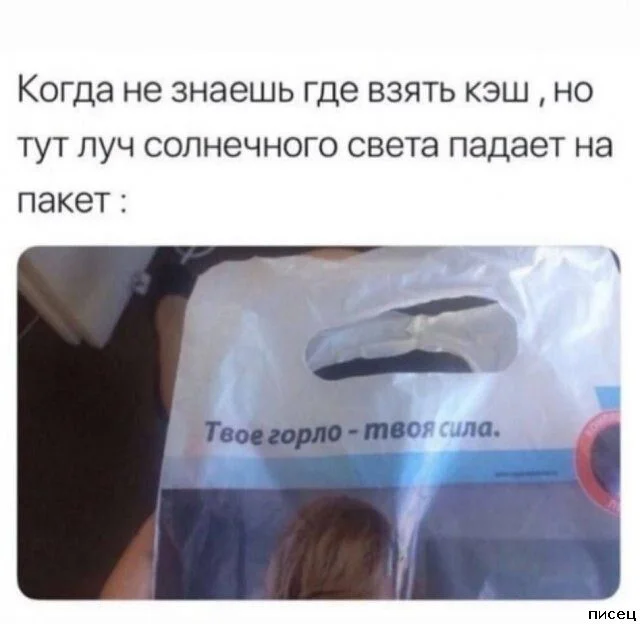 Когда жизнь подкидывает сюрпризы: свежая подборка приколов от Писца