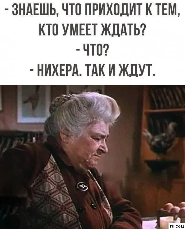 Цитаты, которые попали прямо в точку