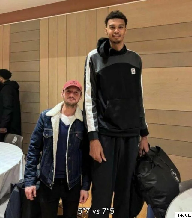 Неудобства великана: смешные промахи в жизни высоких людей