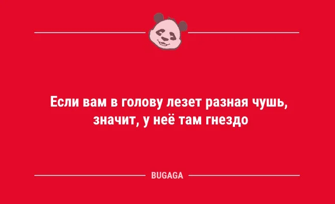 Пятничная подборка юмора: анекдоты и статусы для отличного настроения
