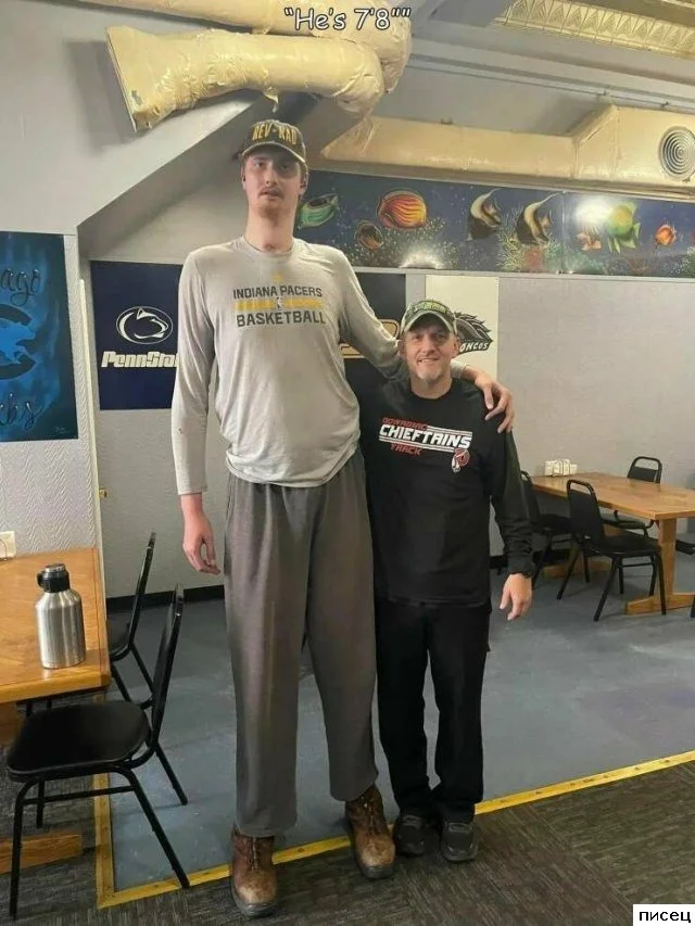 Неудобства великана: смешные промахи в жизни высоких людей