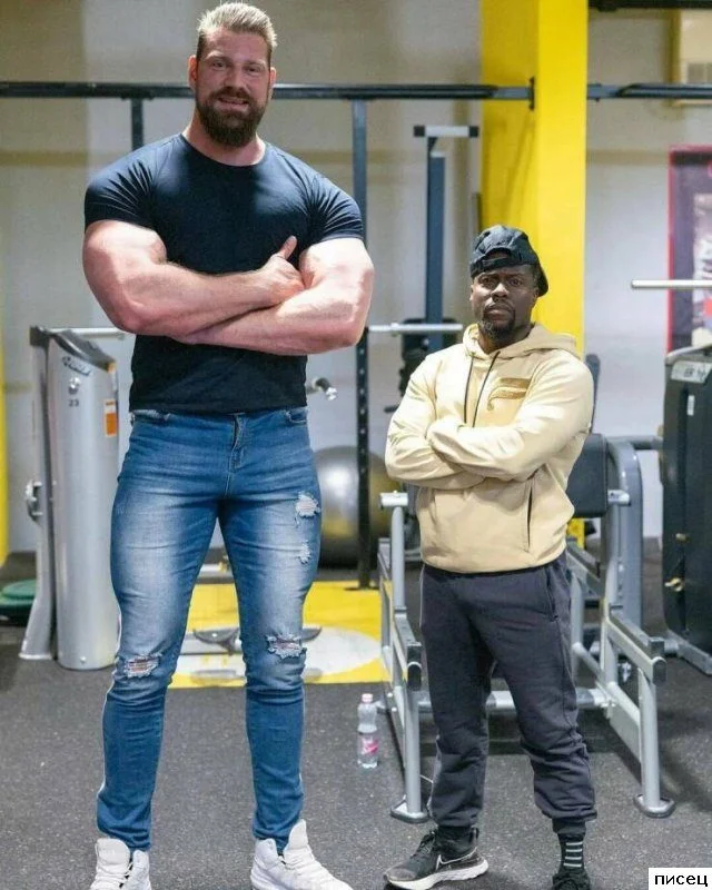 Неудобства великана: смешные промахи в жизни высоких людей