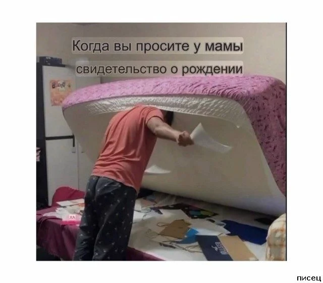 Когда жизнь подкидывает сюрпризы: свежая подборка приколов от Писца