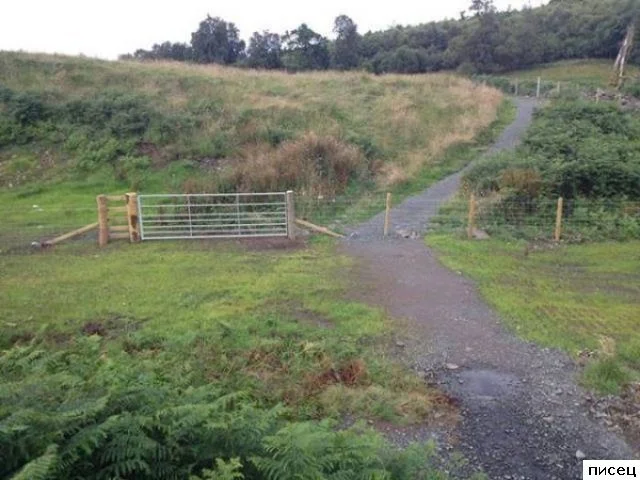 Когда работа пошла не по плану: результаты, от которых хочется плакать и смеяться одновременно