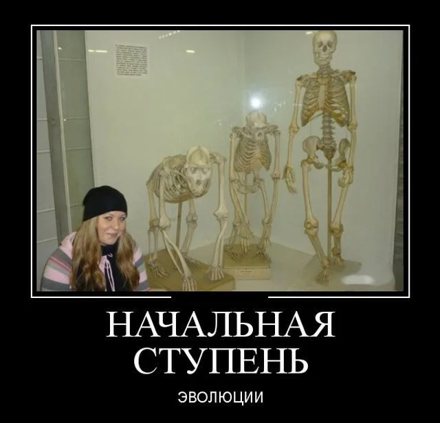 Зарядка позитивом: убойная подборка демотиваторов